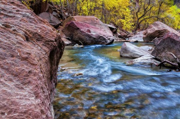 USA, Utah, Zion NP Stream in autumn landscape
